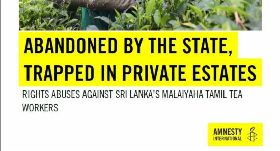 Amnesty Report Alleges Forced Labour Abuses